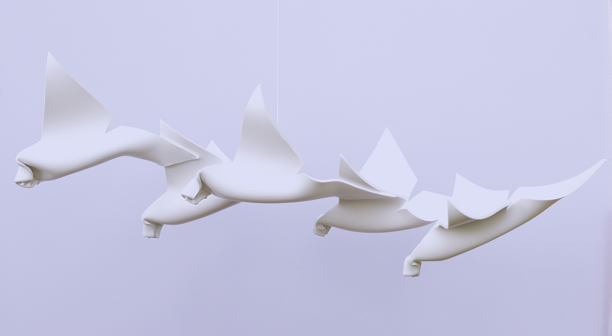 Sulle ali del vento (5)